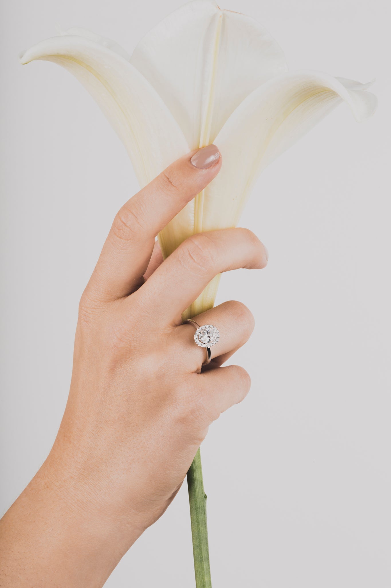 Soikea pasianssi halolla