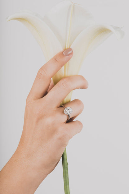 Soikea pasianssi halolla